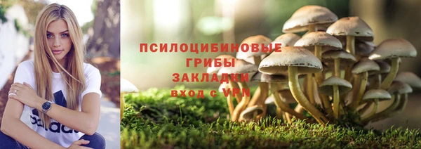 герыч Алексеевка